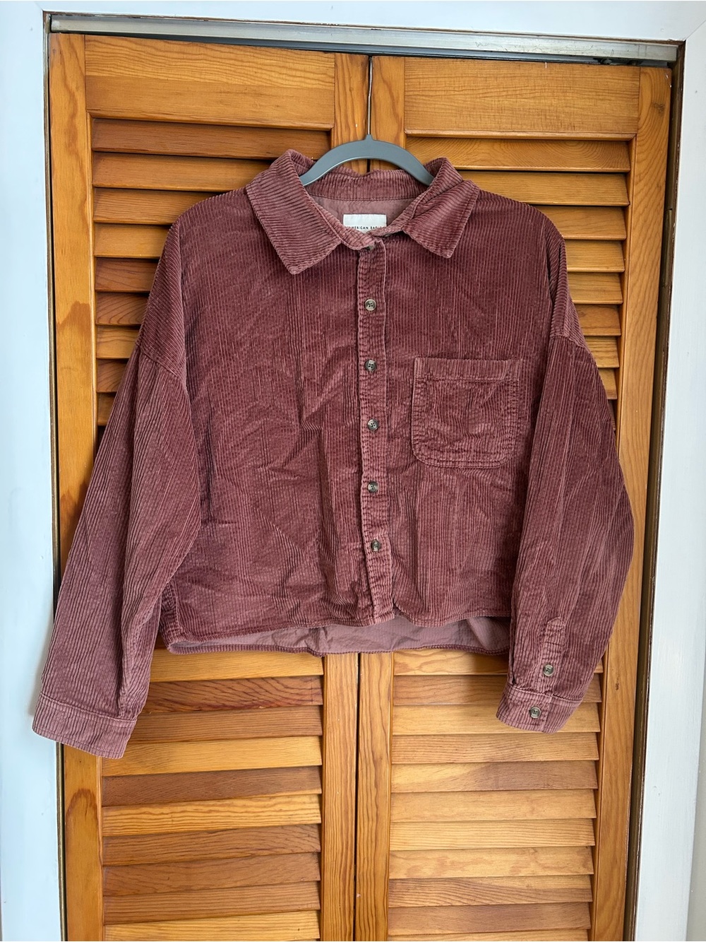 American Eagle Outfitters Mauve Corduroy Button-Down Shirt